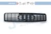 JOHNS 13 10 05 Radiator Grille